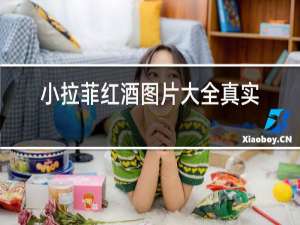 小拉菲红酒图片大全真实照片