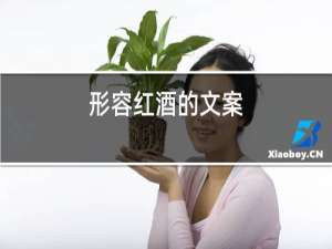 形容红酒的文案