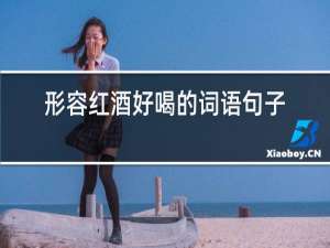 形容红酒好喝的词语句子