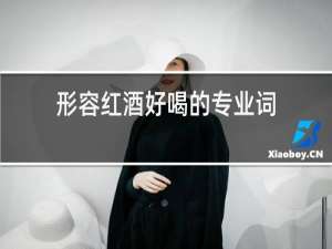 形容红酒好喝的专业词