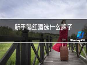 新手喝红酒选什么牌子