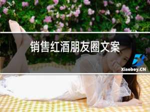 销售红酒朋友圈文案