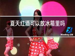 夏天红酒可以放冰箱里吗