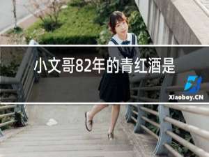 小文哥82年的青红酒是啥