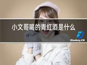 小文哥喝的青红酒是什么酒