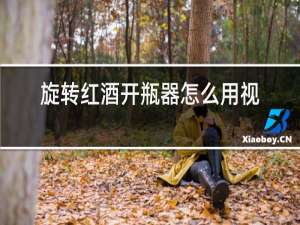 旋转红酒开瓶器怎么用视频