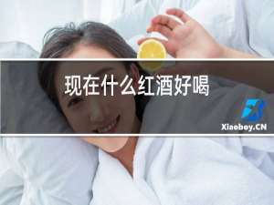 现在什么红酒好喝