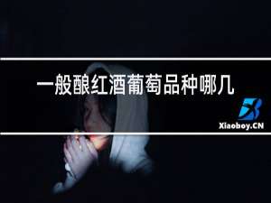 一般酿红酒葡萄品种哪几种好