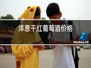 洋葱干红葡萄酒价格