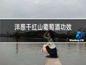 洋葱干红山葡萄酒功效