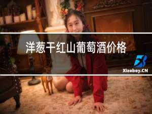 洋葱干红山葡萄酒价格