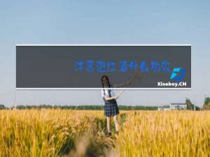 洋葱泡红酒什么功效