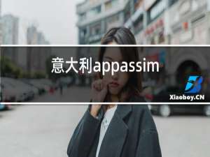 意大利appassimento红酒92