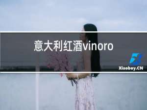意大利红酒vinorosso档次