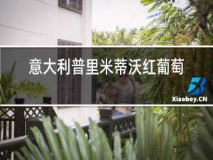 意大利普里米蒂沃红葡萄酒