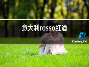 意大利rosso红酒