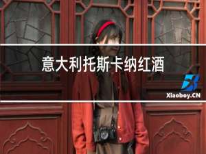 意大利托斯卡纳红酒