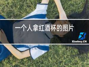 一个人拿红酒杯的图片