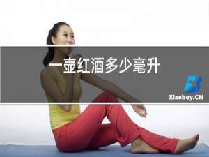 一壶红酒多少毫升