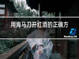 用海马刀开红酒的正确方法
