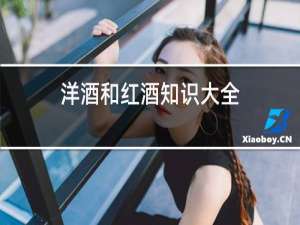 洋酒和红酒知识大全