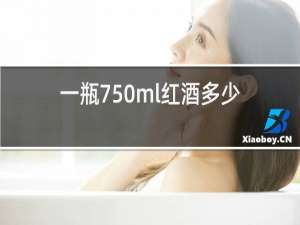 一瓶750ml红酒多少斤