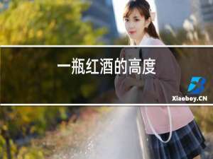 一瓶红酒的高度