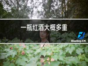 一瓶红酒大概多重
