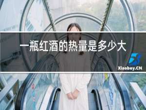 一瓶红酒的热量是多少大卡