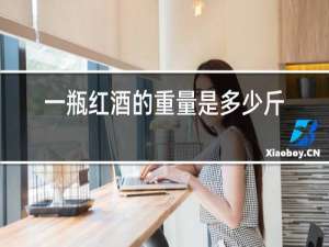 一瓶红酒的重量是多少斤