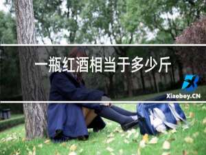 一瓶红酒相当于多少斤