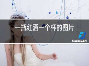 一瓶红酒一个杯的图片