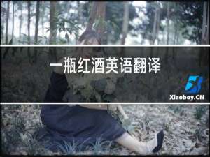 一瓶红酒英语翻译