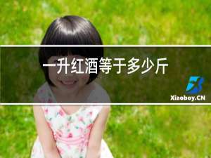 一升红酒等于多少斤