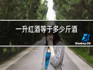 一升红酒等于多少斤酒