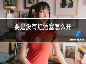 要是没有红酒塞怎么开