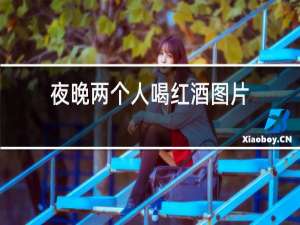 夜晚两个人喝红酒图片