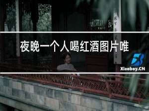 夜晚一个人喝红酒图片唯美