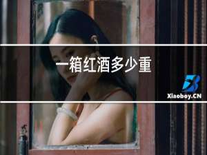 一箱红酒多少重