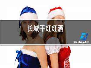 长城干红红酒