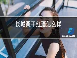 长城桑干红酒怎么样