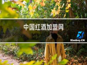 中国红酒加盟网