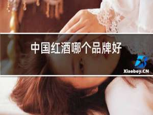 中国红酒哪个品牌好