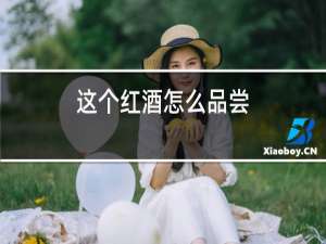 这个红酒怎么品尝