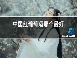 中国红葡萄酒那个最好