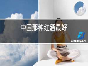 中国那种红酒最好
