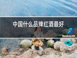 中国什么品牌红酒最好