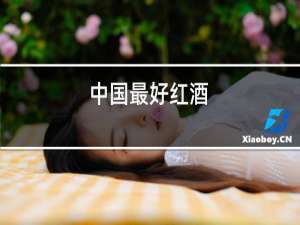 中国最好红酒