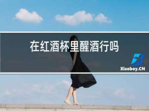 在红酒杯里醒酒行吗