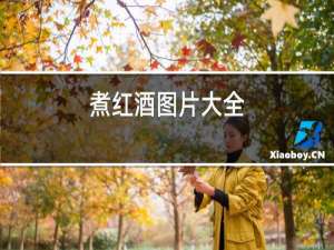 煮红酒图片大全